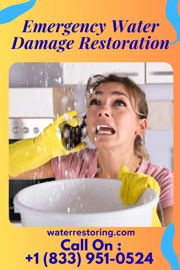 Emergency Water Damage Restoration in Chico, WA