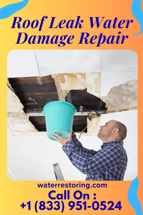Roof Leak Water Damage Repair in Chico, WA